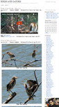 Mobile Screenshot of birdsandgators.com